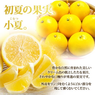 【2026年3月より順次配送分】小夏(日向夏) 約5kg 土佐小夏 高知 ku-0049