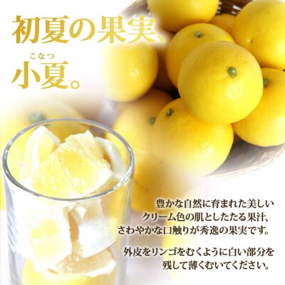【数量限定】小夏(日向夏)約5kg ku-0033