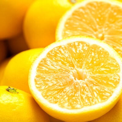 【2026年3月より順次配送分】小夏(日向夏) 約5kg 土佐小夏 高知 ku-0049