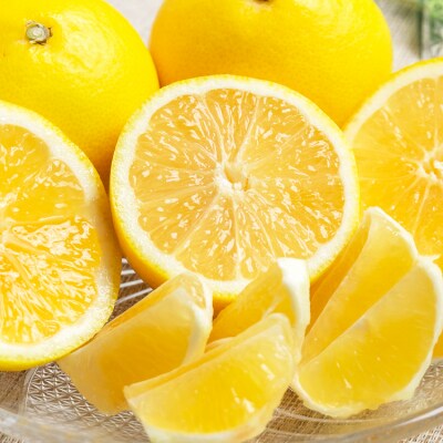 【2026年3月より順次配送分】小夏(日向夏) 約5kg 土佐小夏 高知 ku-0049