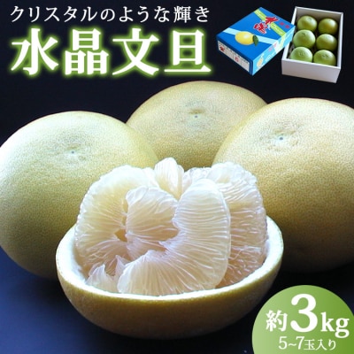 【令和8年9月中旬発送開始】水晶文旦3kg 香南市産 ku-0055