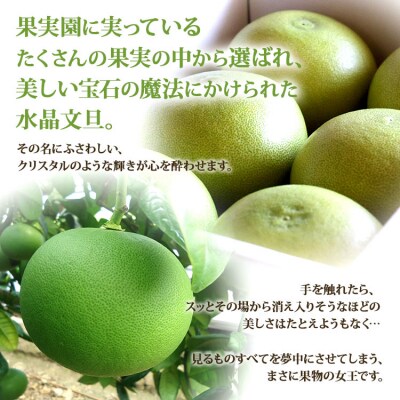 【令和8年9月中旬発送開始】水晶文旦3kg 香南市産 ku-0055