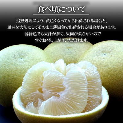 【令和8年9月中旬発送開始】水晶文旦3kg 香南市産 ku-0055