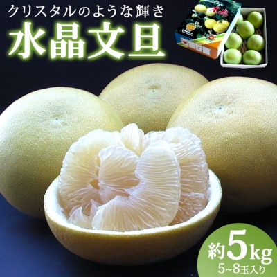 【令和8年9月中旬発送開始】 水晶文旦 5kg ku-0056