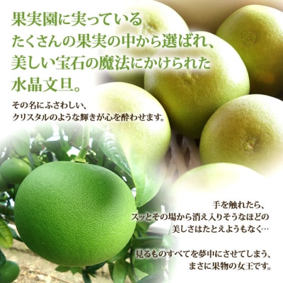 【令和8年9月中旬発送開始】 水晶文旦 5kg ku-0056