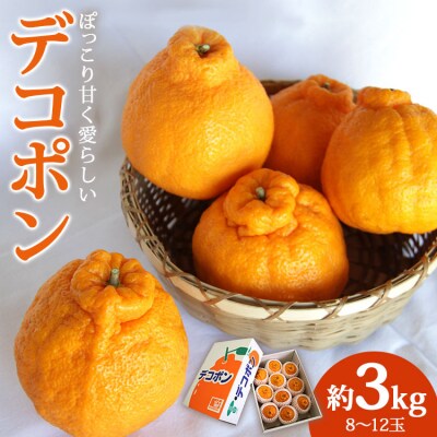 ぽっこり甘く愛らしい デコポン3kg ku-0026