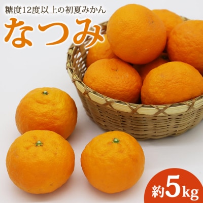 糖度12度以上の初夏みかん なつみ5kg ku-0028