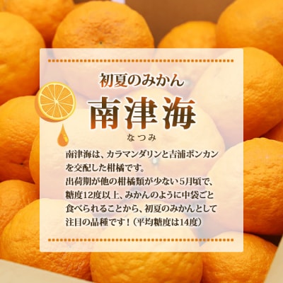 糖度12度以上の初夏みかん なつみ5kg ku-0028
