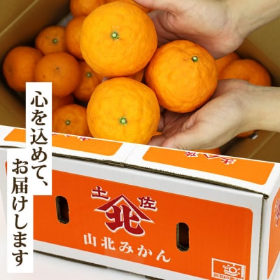 糖度12度以上の初夏みかん なつみ5kg ku-0028