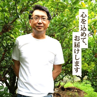 【令和9年2月発送開始】とろっとジューシー せとか 8～14玉 - みかん 秀 ku-0057