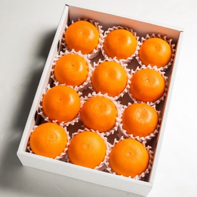 【2027年2月発送】とろっとジューシー せとか 8～14玉 みかん 秀 ku-0057