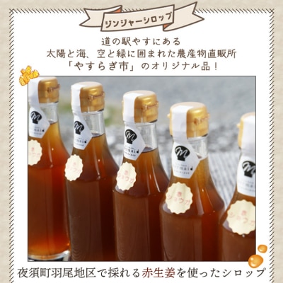 【7日程度で発送】ジンジャーシロップ200ml×5本 yr-0048