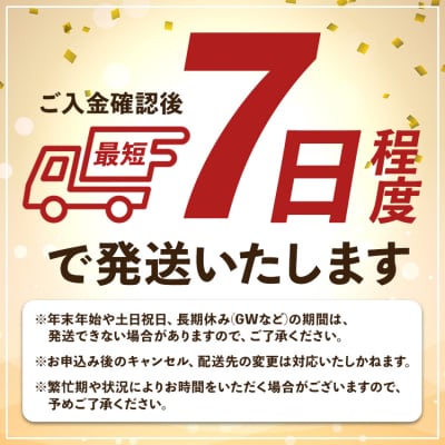 ジンジャーシロップ200ml×5本 yr-0048
