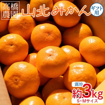 【11月中旬より順次配送】高橋農園 山北みかん3kg(露地・S～M) th-0023