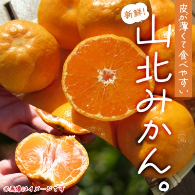 【11月中旬より順次配送】高橋農園 山北みかん3kg(露地・S～M) th-0023