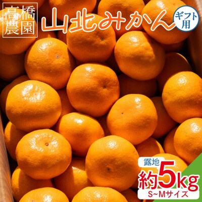 【11月中旬より順次配送】高橋農園 山北みかん5kg(露地・S～M) th-0024