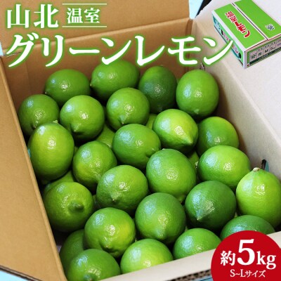 【数量限定】高知県産 山北温室グリーンレモン 約5kg(S～Lサイズ) ku-0035