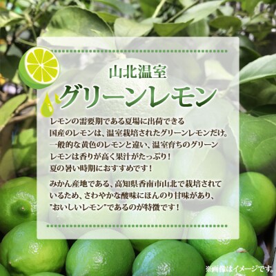 【数量限定】高知県産 山北温室グリーンレモン 約5kg(S～Lサイズ) ku-0035