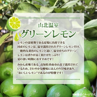 【数量限定】高知県産 山北温室グリーンレモン 約5kg(S～Lサイズ) ku-0035