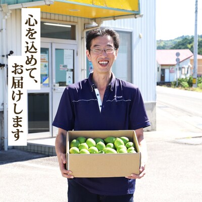 【数量限定】高知県産 山北温室グリーンレモン 約5kg(S～Lサイズ) ku-0035