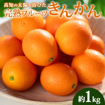 【先行受付】完熟フルーツきんかん 1kg 高知 ku-0032