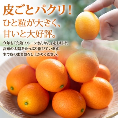 【完熟きんかん】高知の太陽を浴びた完熟フルーツ きんかん 1kg ku-0032