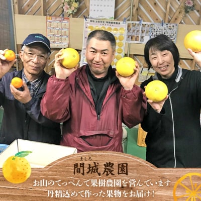 訳あり 土佐文旦 10kg 家庭用 柑橘系果物 柑橘類 フルーツ 高知県 間城農園 ms-0095