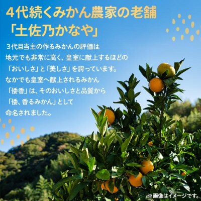 <2026年12月下旬より順次配送>土佐乃かなや 倭香 皇室献上桐箱入り 大玉8玉入 be-0106
