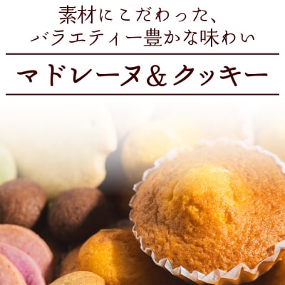 マドレーヌ5個とクッキー14袋 合計67枚以上セット oh-0010