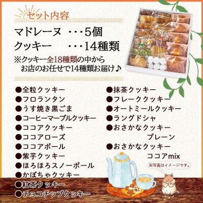マドレーヌ5個とクッキー14袋 合計67枚以上セット oh-0010