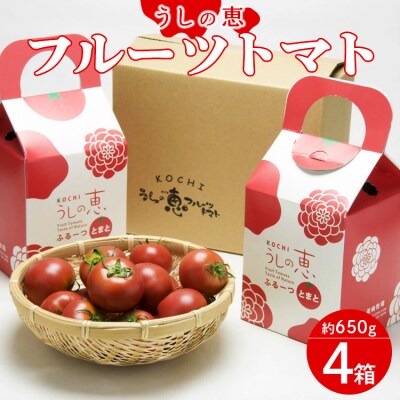 うしの恵 フルーツトマト4箱(650g×4) mj-0011