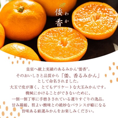<2027年1月中旬より順次配送>土佐乃かなや 献上みかん「倭香(わか)」2.8kg be-0105