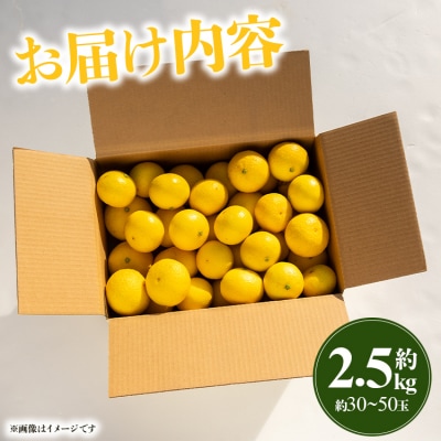 【先行受付】黄金柑 2.5kg 爽やかな香り 間城農園 柑橘 ms-0044
