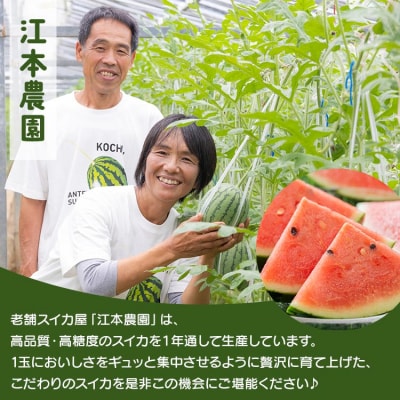 【期間限定】江本農園の2月真冬アンテナスイカ1玉 em-0016