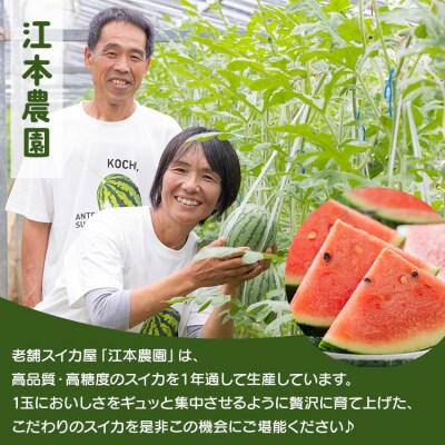 【期間限定】江本農園の4月春アンテナスイカ2玉 em-0023