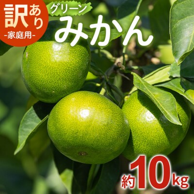 【2026年9月中旬より順次配送】家庭用 訳あり グリーンみかん 約10kg みかん be-0113