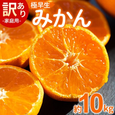 【2026年10月より順次配送】家庭用 極早生みかん 10kg 山北みかん be-0114