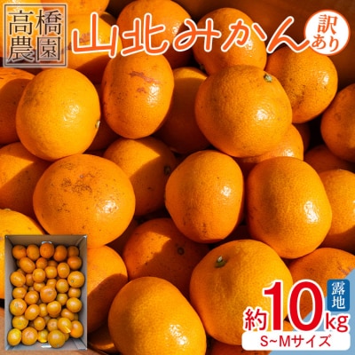 【11月中旬より順次配送】訳あり 山北みかん 小玉 B品 10kg 甘い 糖度 th-0027