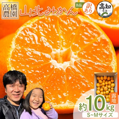訳あり 山北みかん 小玉 B品 10kg 甘い 糖度 人気 訳あり 果物 家庭用 th-0032