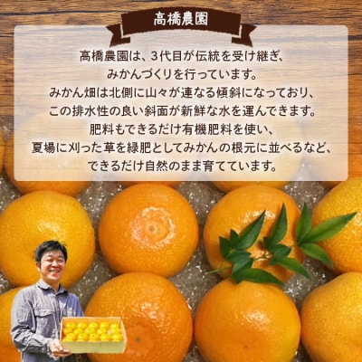 【訳あり】山北みかん 露地(S～M)B品 10kg - 果物 フルーツ ミカン th-0018