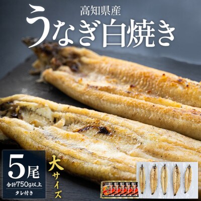 吉川水産 高知県産うなぎの白焼き 大サイズ(150～180g)×5尾 - タレ付き yw-0124