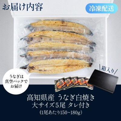 吉川水産 高知県産うなぎの白焼き 大サイズ(150～180g)×5尾 - タレ付き yw-0124