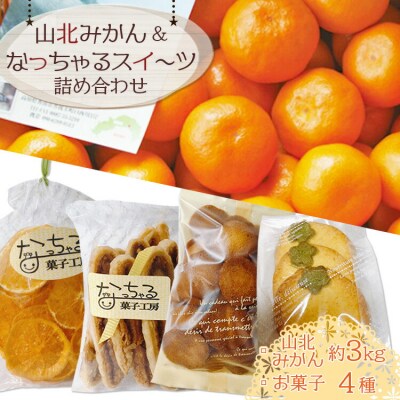 栁本果樹園の山北みかんとなっちゃるスイーツ詰合せ みかんづくし yg-0004