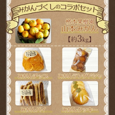 栁本果樹園の山北みかんとなっちゃるスイーツ詰合せ みかんづくし yg-0004