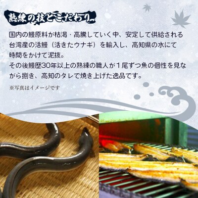 肉厚ふっくら香ばしい 台湾産養殖うなぎ蒲焼 120g～140g 10尾セット ss-0028