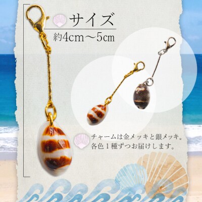 シェルクラフト マスクチャーム 2セット Xsk-0008