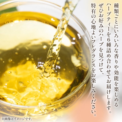 さわやかハーブティー6種の詰め合わせセット gr-0119