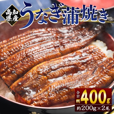 うなぎの蒲焼き 約200g×2尾 国産養殖 高知県産鰻 鰻蒲焼 fb-0139