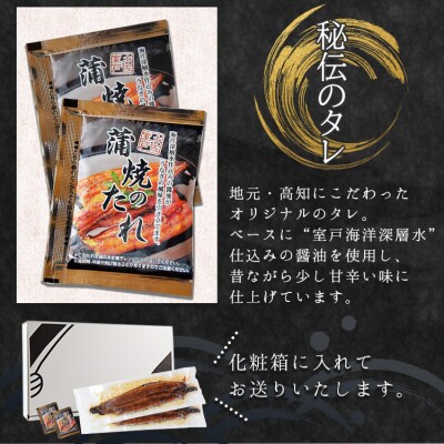 うなぎの蒲焼き 約200g×2尾 国産養殖 高知県産鰻 fb-0139