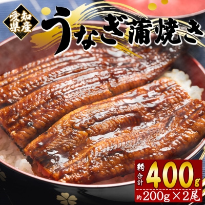【計400g】うなぎ蒲焼き 約200g×2尾 (愛知県産鰻) フジ物産 fb-0138